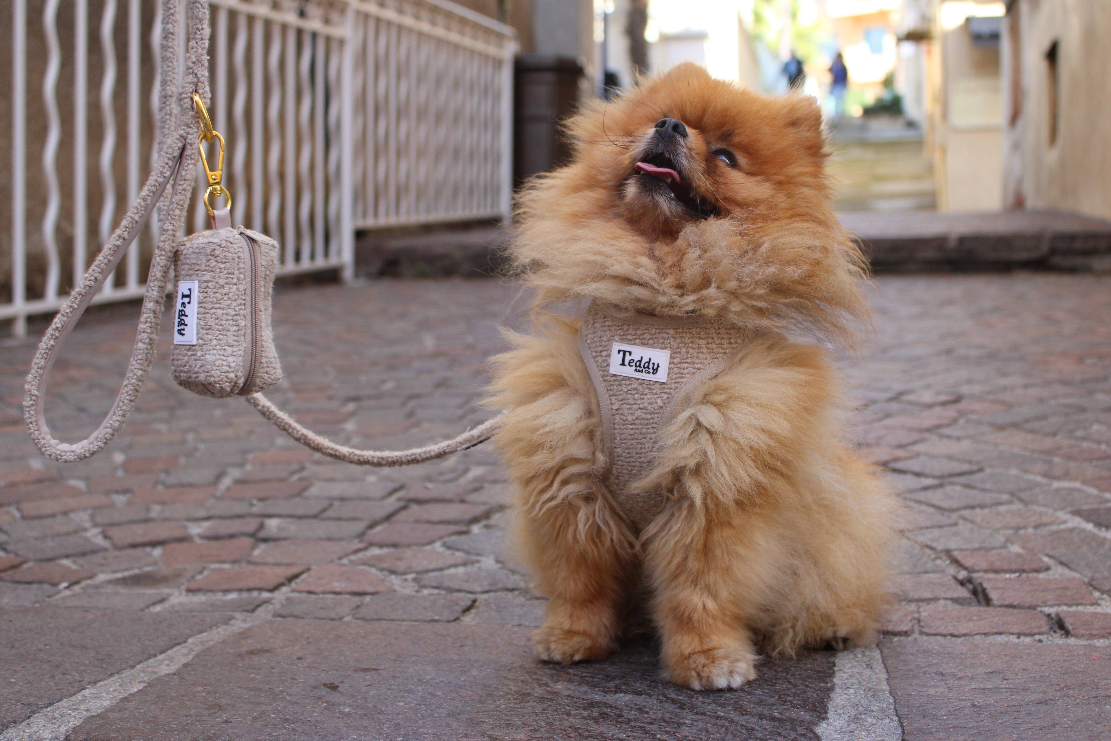 Eustoma Silk Crepe Swing Maxi Dress ~ Courtyard XL