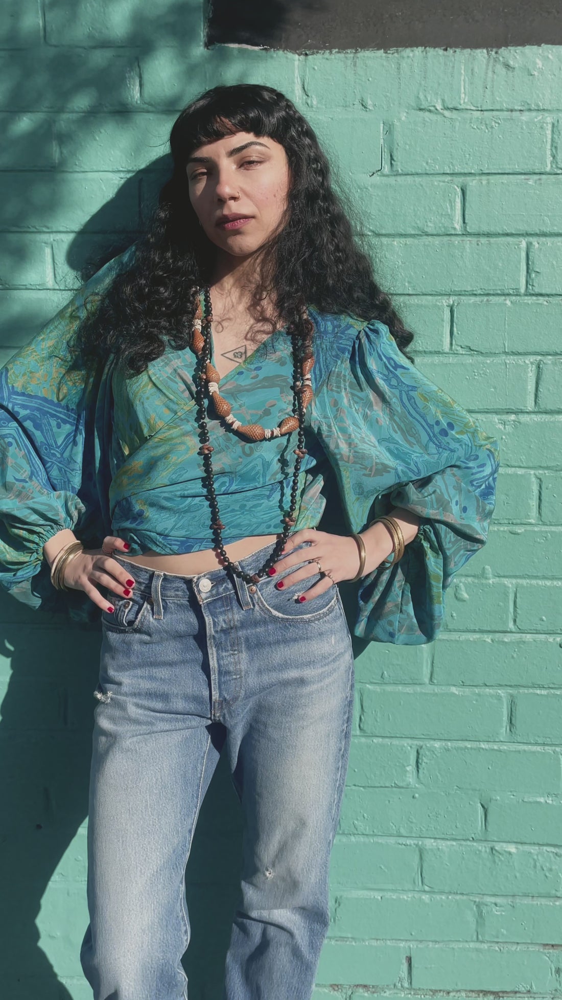 Hoya Silk Crepe Balloon Sleeve Wrap Top ~ Dragonfly M